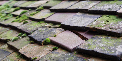 Great Altcar roof repair costs